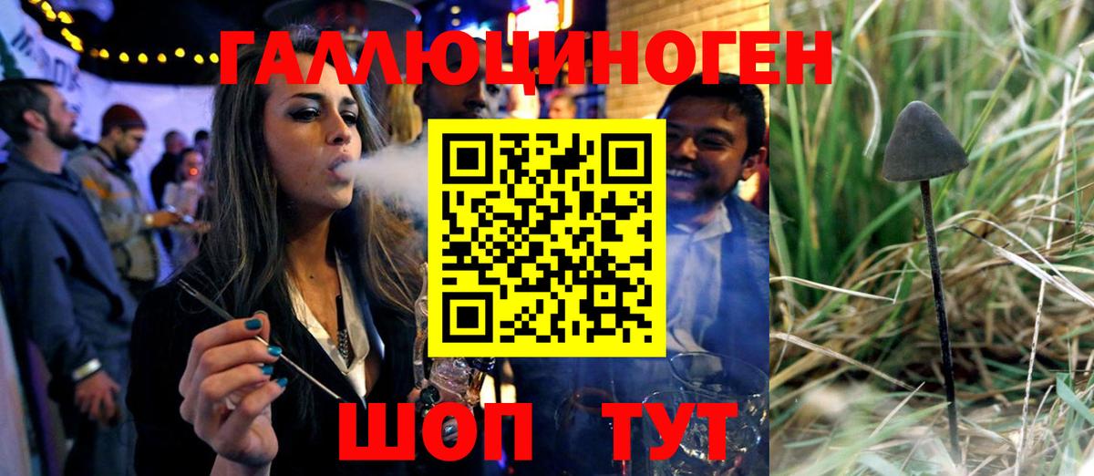 Мурино  Псилоцибиновые грибы Cubensis  Вход с VPN 